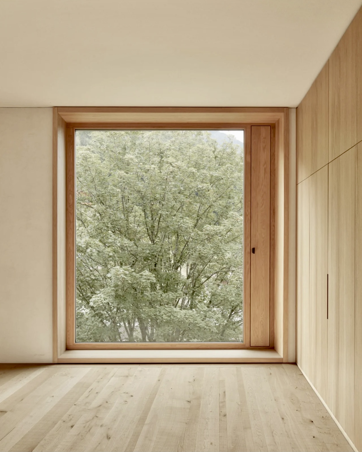 Sleek Ultra Slim Picture